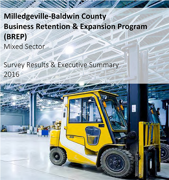 BREP Survey Report Link